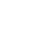 Saases Logo
